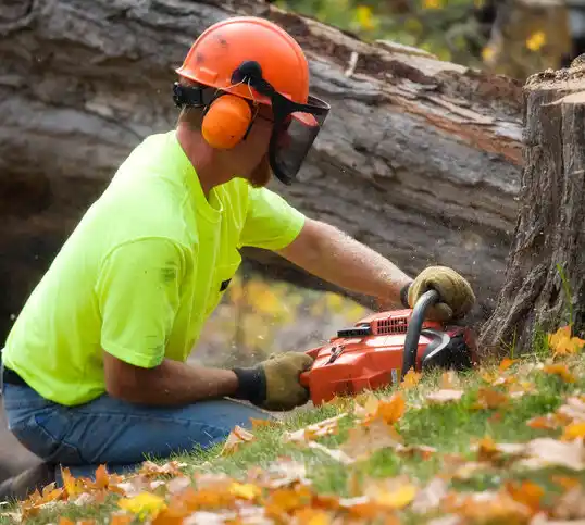 tree services Eagle